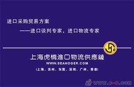 專業(yè)護航，高效通關(guān) 上海進口報關(guān)代理服務(wù)全解析