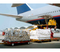 物流倉儲與貨物報關(guān)代理 現(xiàn)代國際貿(mào)易的基石