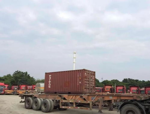 鹽田報關(guān)行 專業(yè)高效，服務(wù)周到的普貨報關(guān)專家